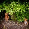 Loch Lomond Faerie Trail